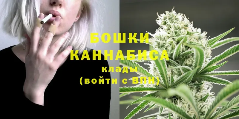 Шишки марихуана OG Kush  Алзамай 